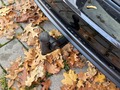 View of trailer tow-bar hitch