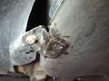 Другие фотографии кузова