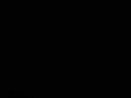Photo de détail