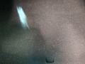 Photo de détail