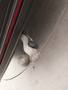 View of trailer tow-bar hitch